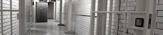 Prison Law